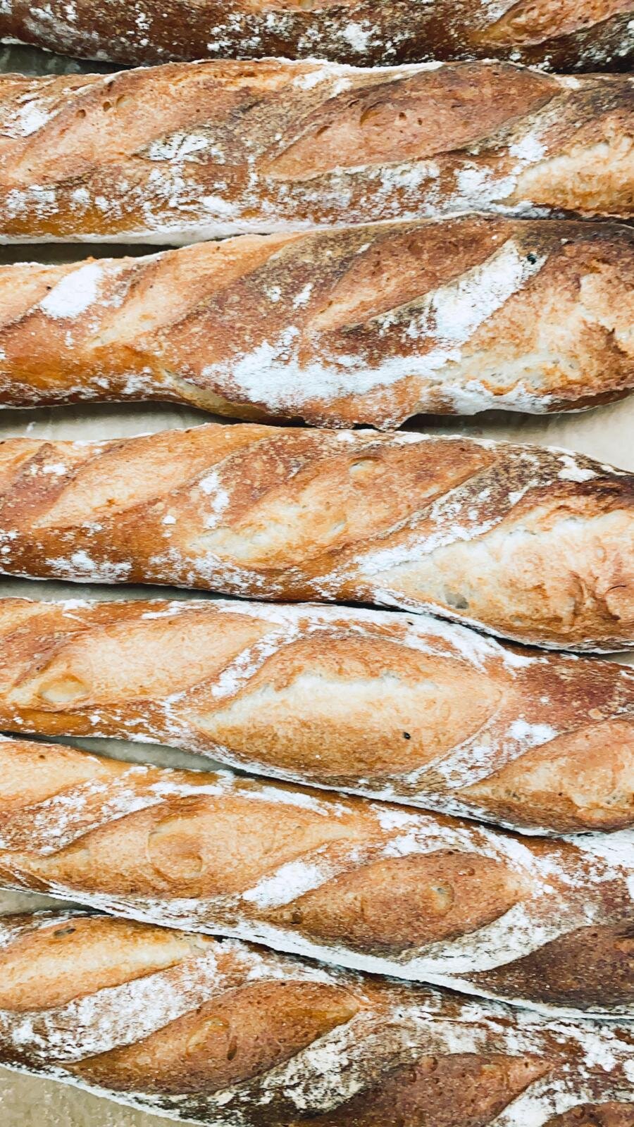 WhatsApp Image 2021-02-19 at 11.21.29.jpeg