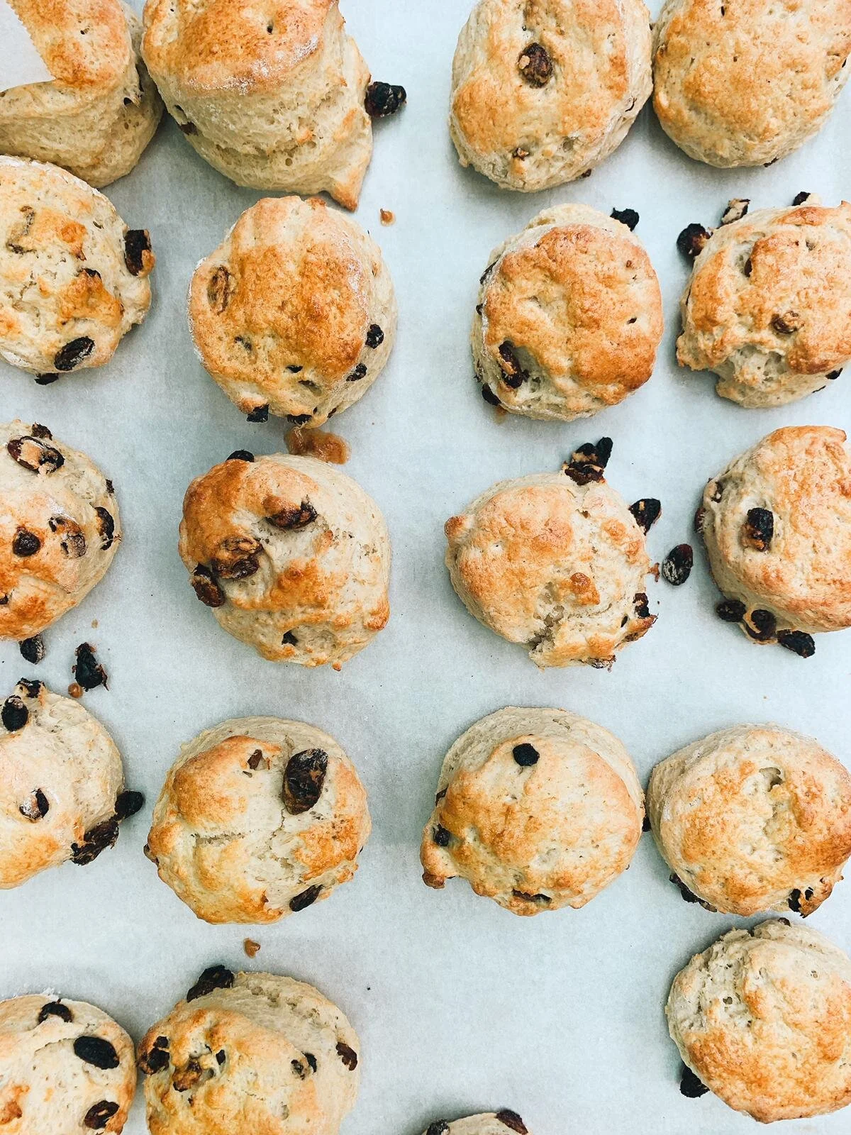 Scones on tray.jpeg