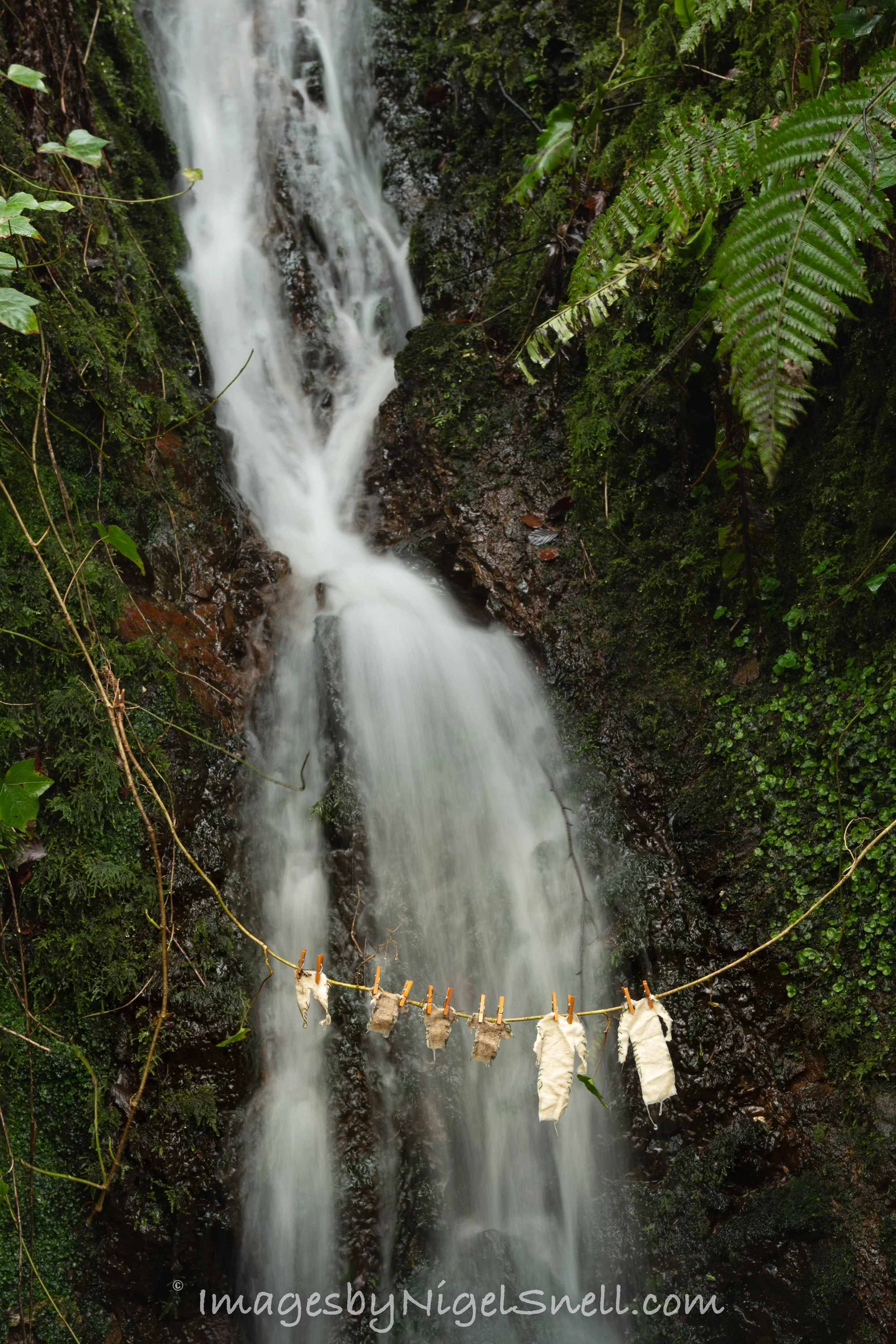 Leprechaun Laundry day, Glenoe 3976