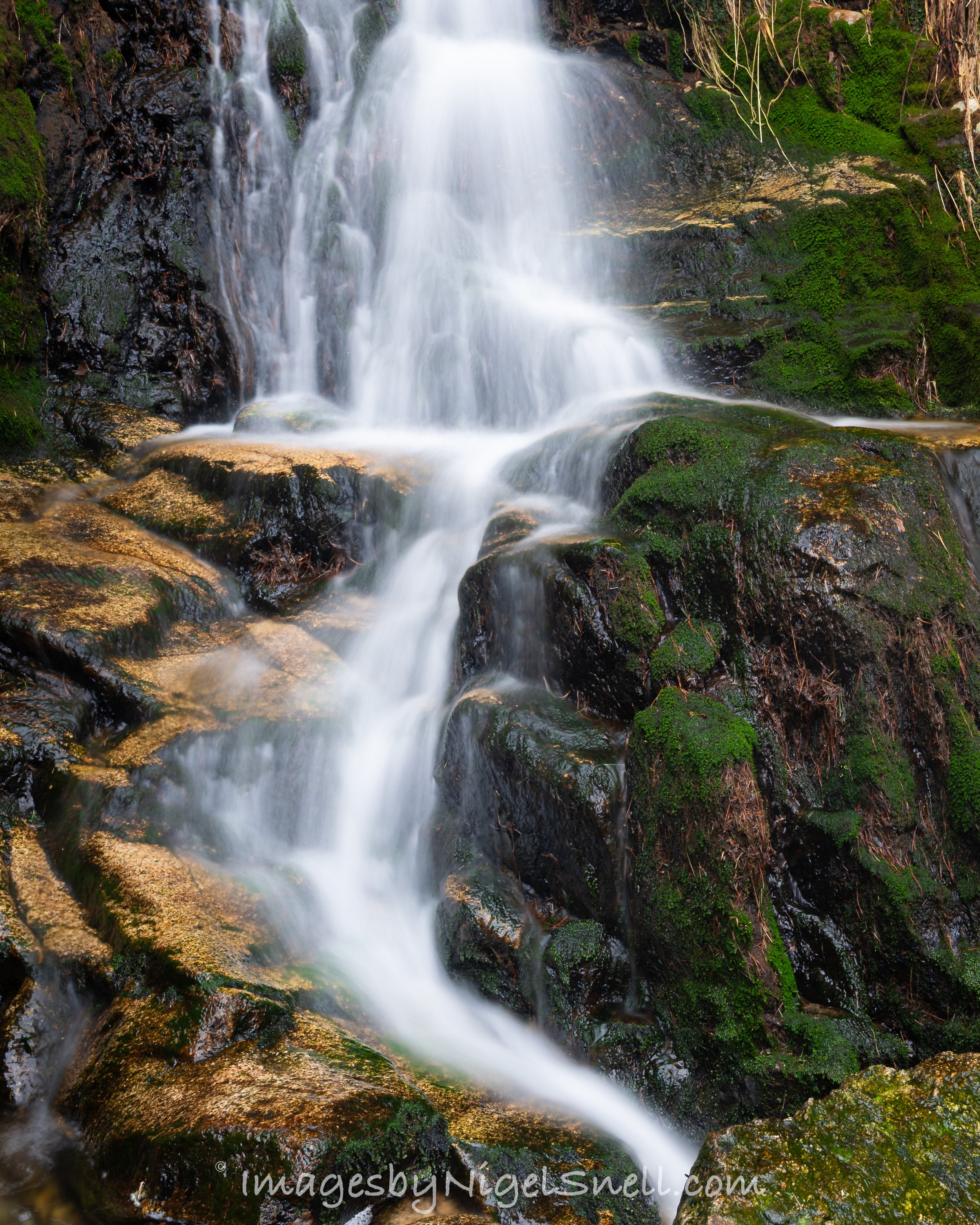 Ballinafunshogue, County Wicklow 0182
