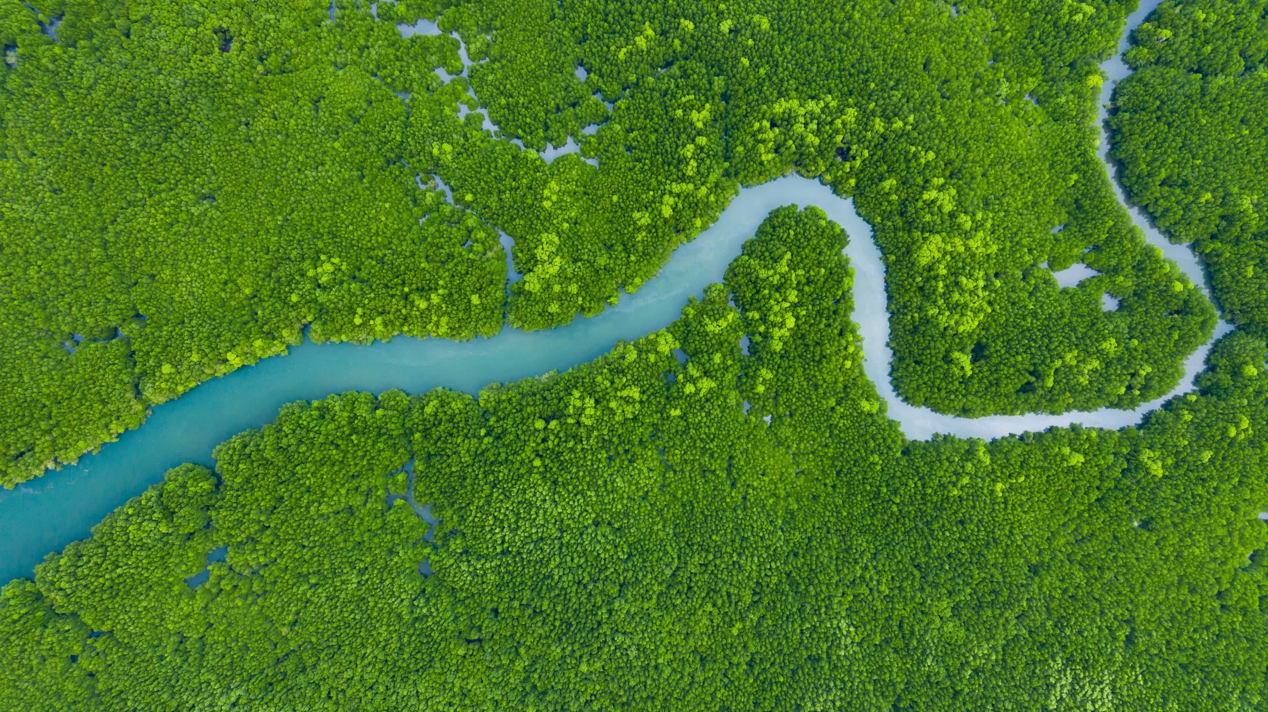 Secondary and Further Education Workshops — ecoACTIVE | environmental ...