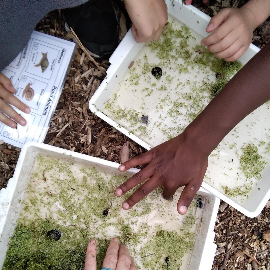 🌳 Calling all Hackney parents! 🌳

Looking for an exciting outdoor adventure for your 7 to 11-year-old? If you&rsquo;re near Hackney Marsh Adventure Playground, we&rsquo;ve got the perfect solution!

Introducing our complimentary Forest School Club,