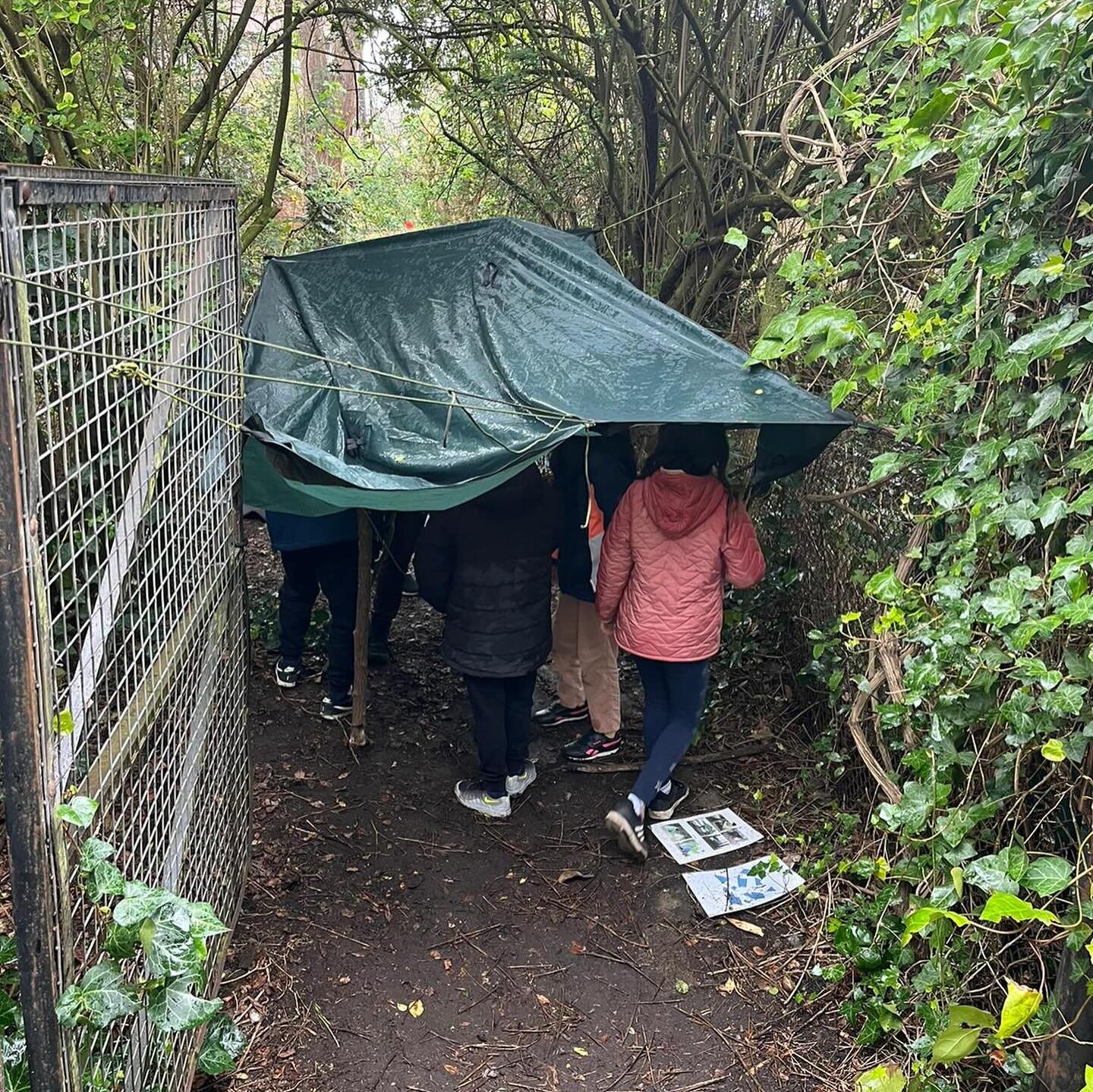 Shelter building challenge going well at Strand on the green school with Y5

⁩ #outdoorlearning #forestschool #problemsolving #teamwork