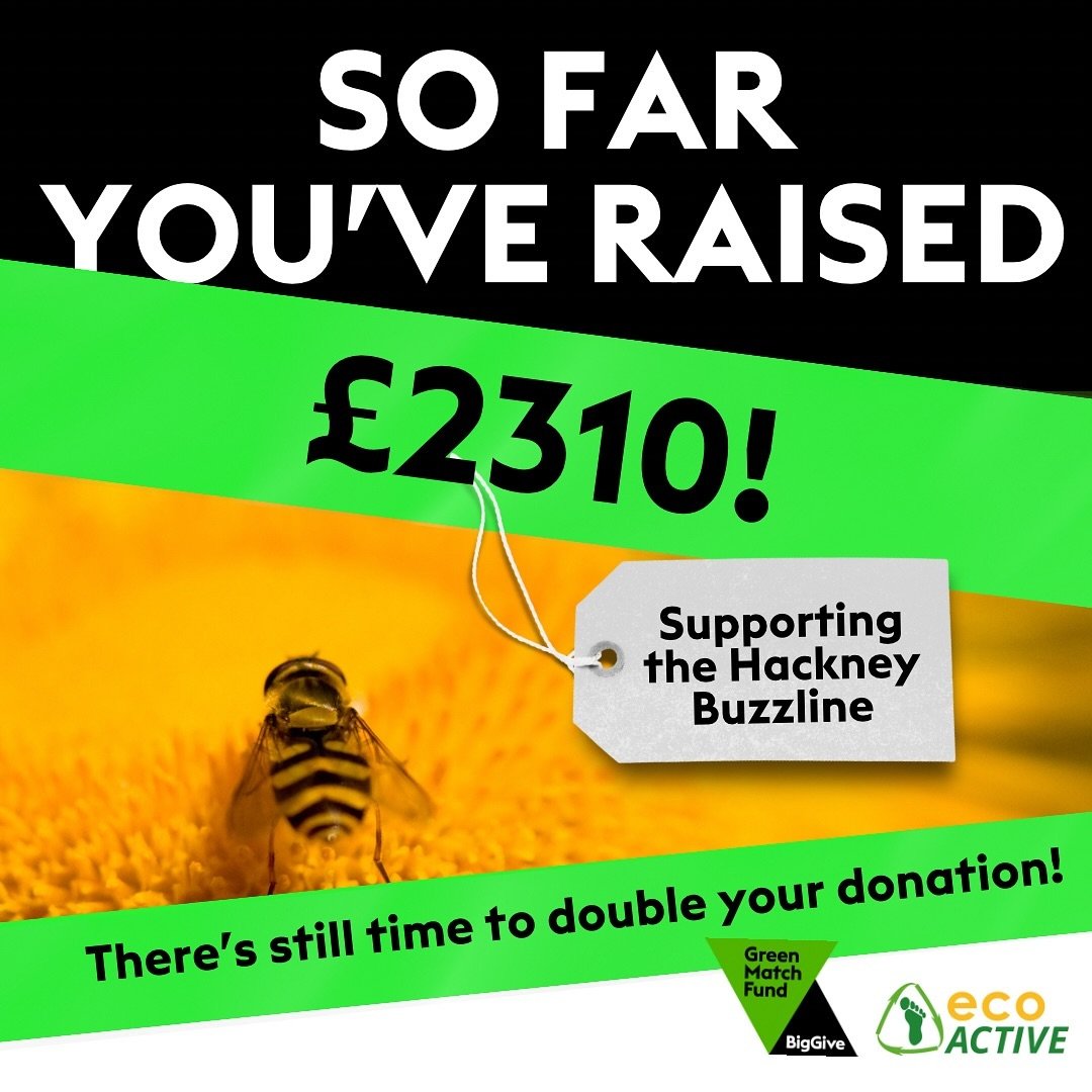 Thank you to everyone who&rsquo;s supported and shared #greenmatchfund campaign for the #hackneybuzzline #pollinatorcorridor 

With less than 24 hours to go we&rsquo;ve reach nearly 50% of our target! 💚