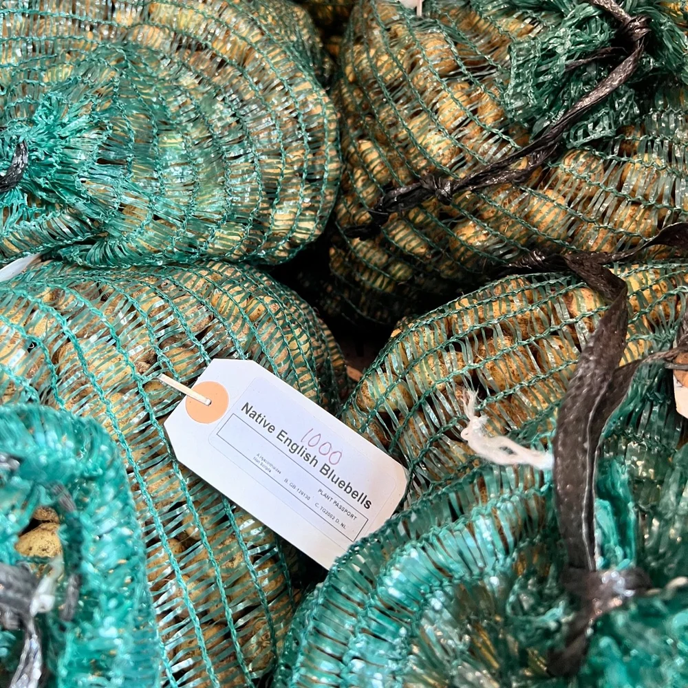 For anyone that fancies coming down to volunteer tomorrow at Allmead Memory Garden we will be there at 1.30 starting to plant bulbs and seeds🍁

Thursday will run normally at the Memory gardens from 10:30-1, we will planting bulbs and wild flowers 🌸