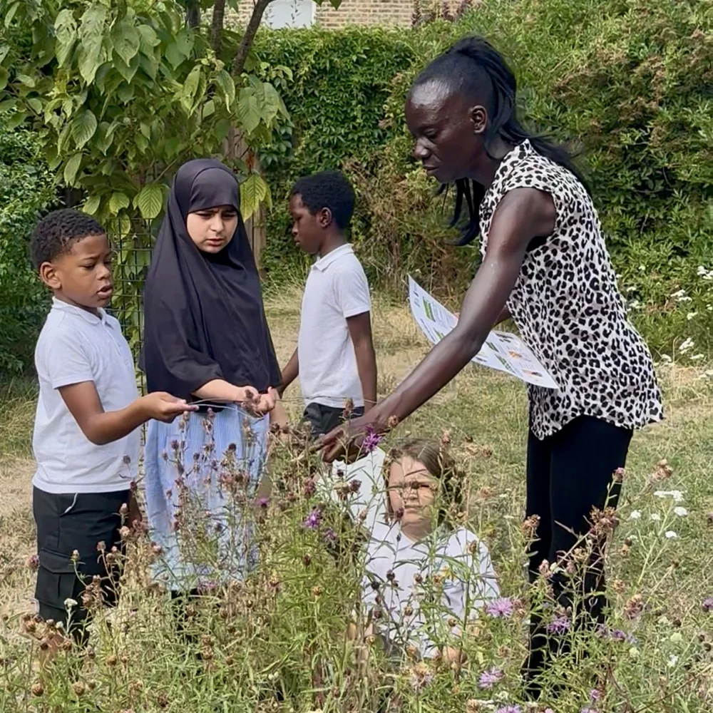 25. Pollinator Training Meadow.PNG