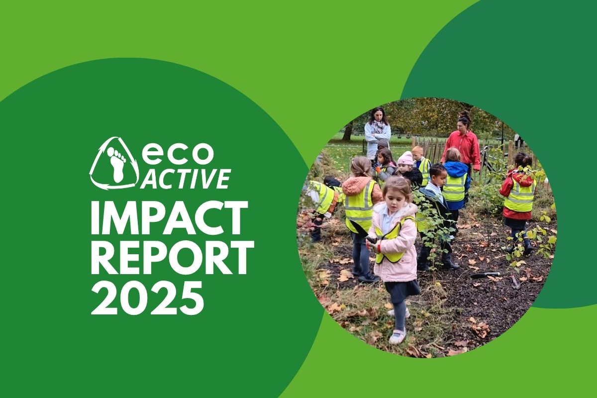 ecoACTIVE’s 2025 Impact Report: Growing Community, Connection and Climate Action