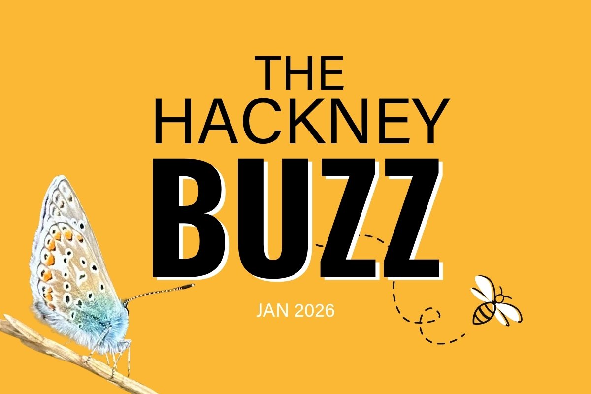 The Hackney Buzz - Hackney Buzzline News Jan 2026