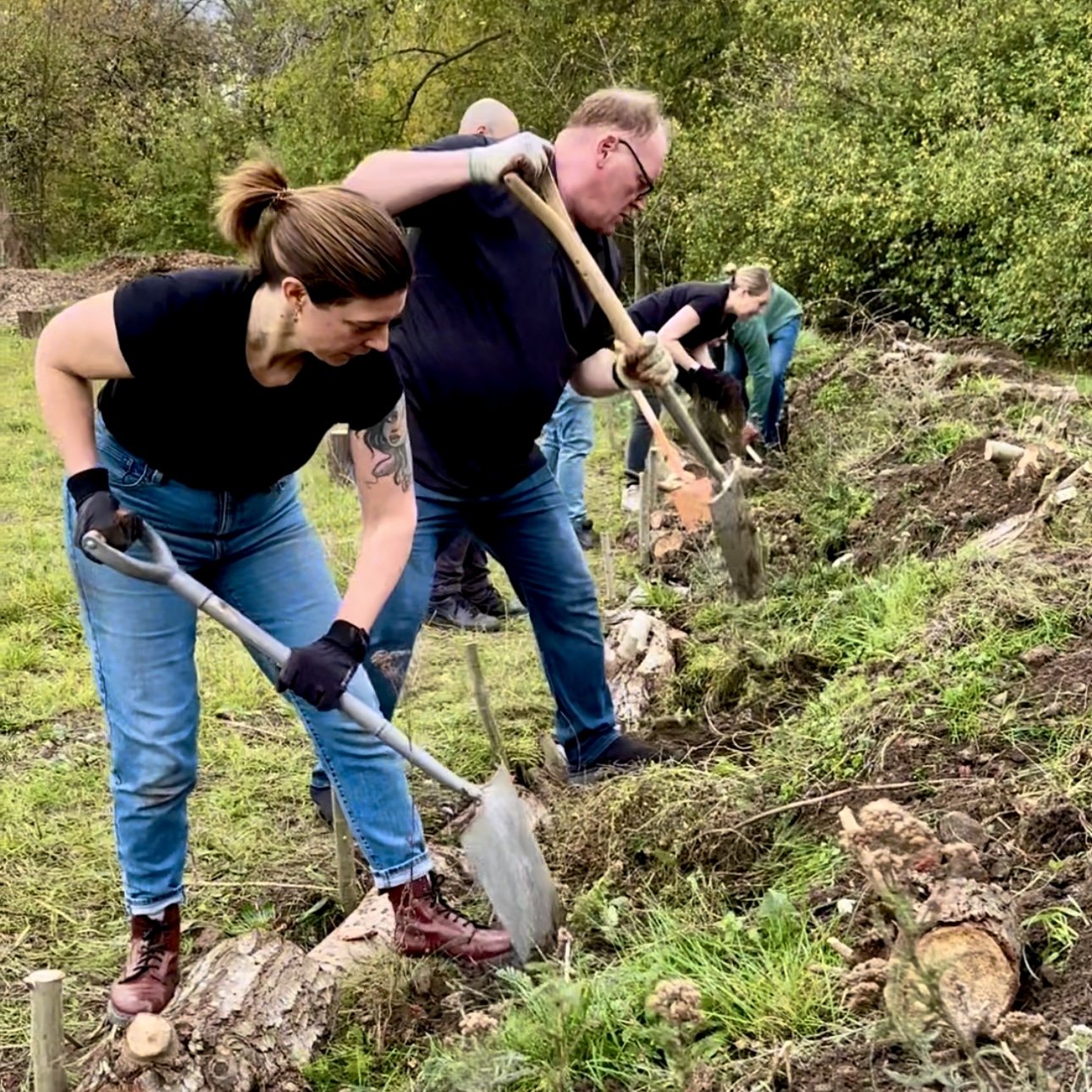 Bee bank construction