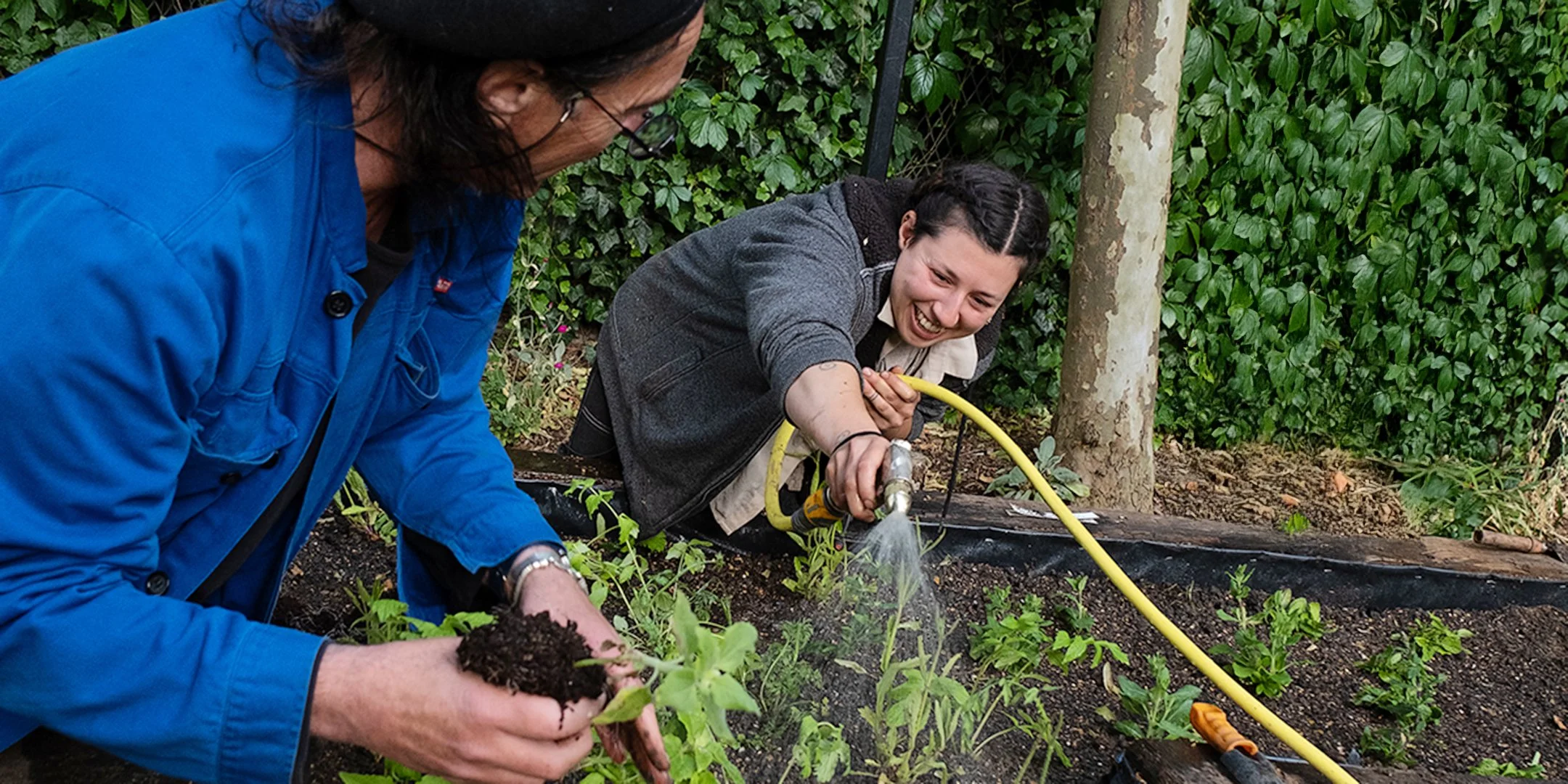 Volunteering on the Buzzline