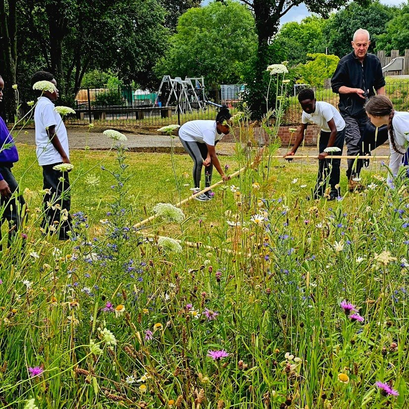 Biodiversity monitoring.jpg