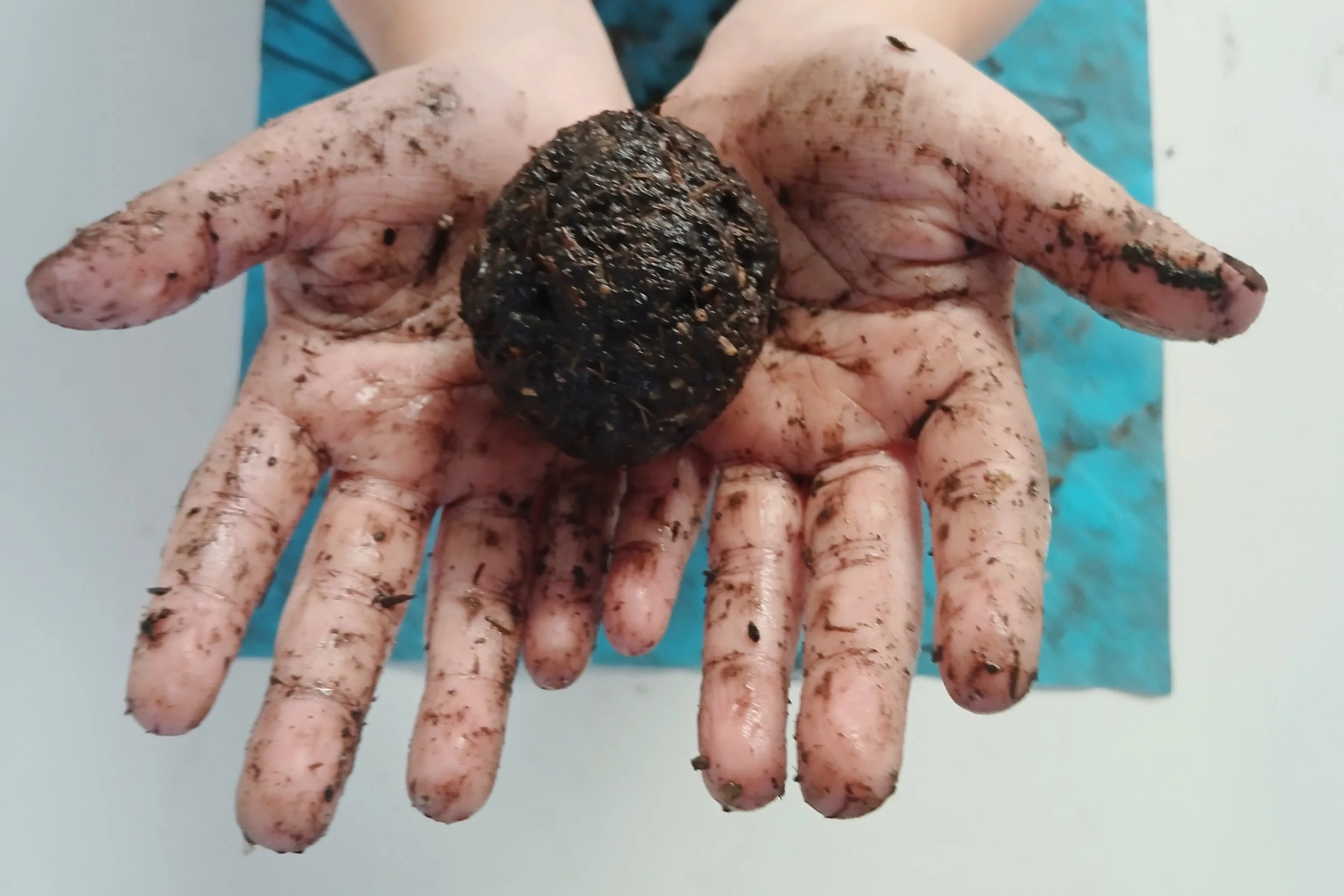 Folkestone Primary Schools Environmental Education Initiative