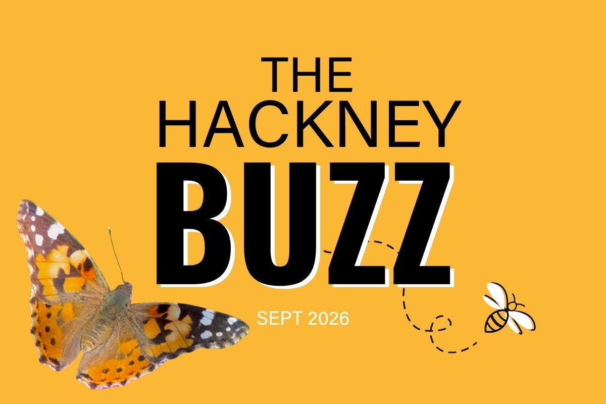 The Hackney Buzz - Hackney Buzzline News Sept 2026