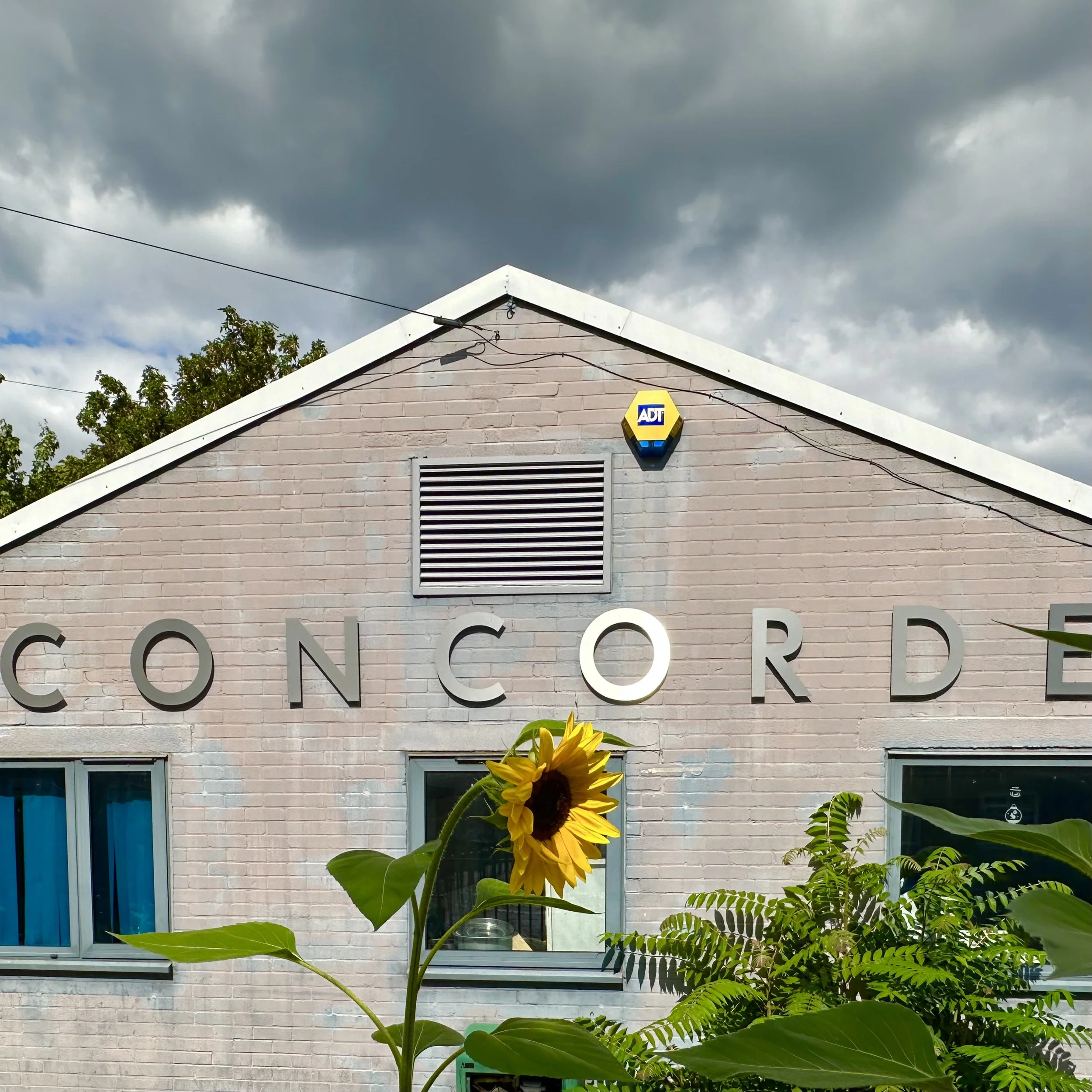 9 Concorde.jpeg