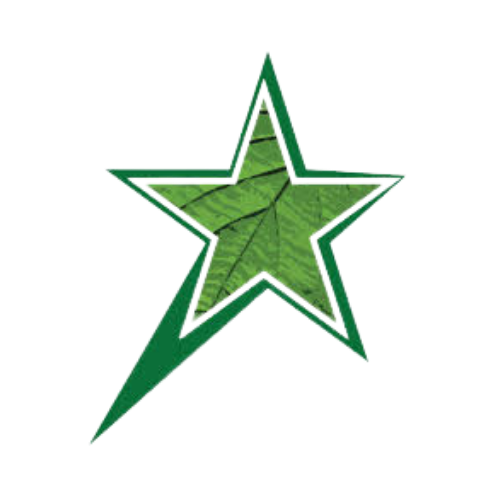 Group of people working in a community garden, planting and tending to various vegetable plants and soil beds, surrounded by trees and gardening tools.