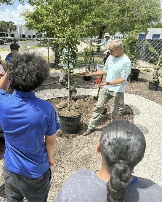 Revitalize your Landscape with Trees