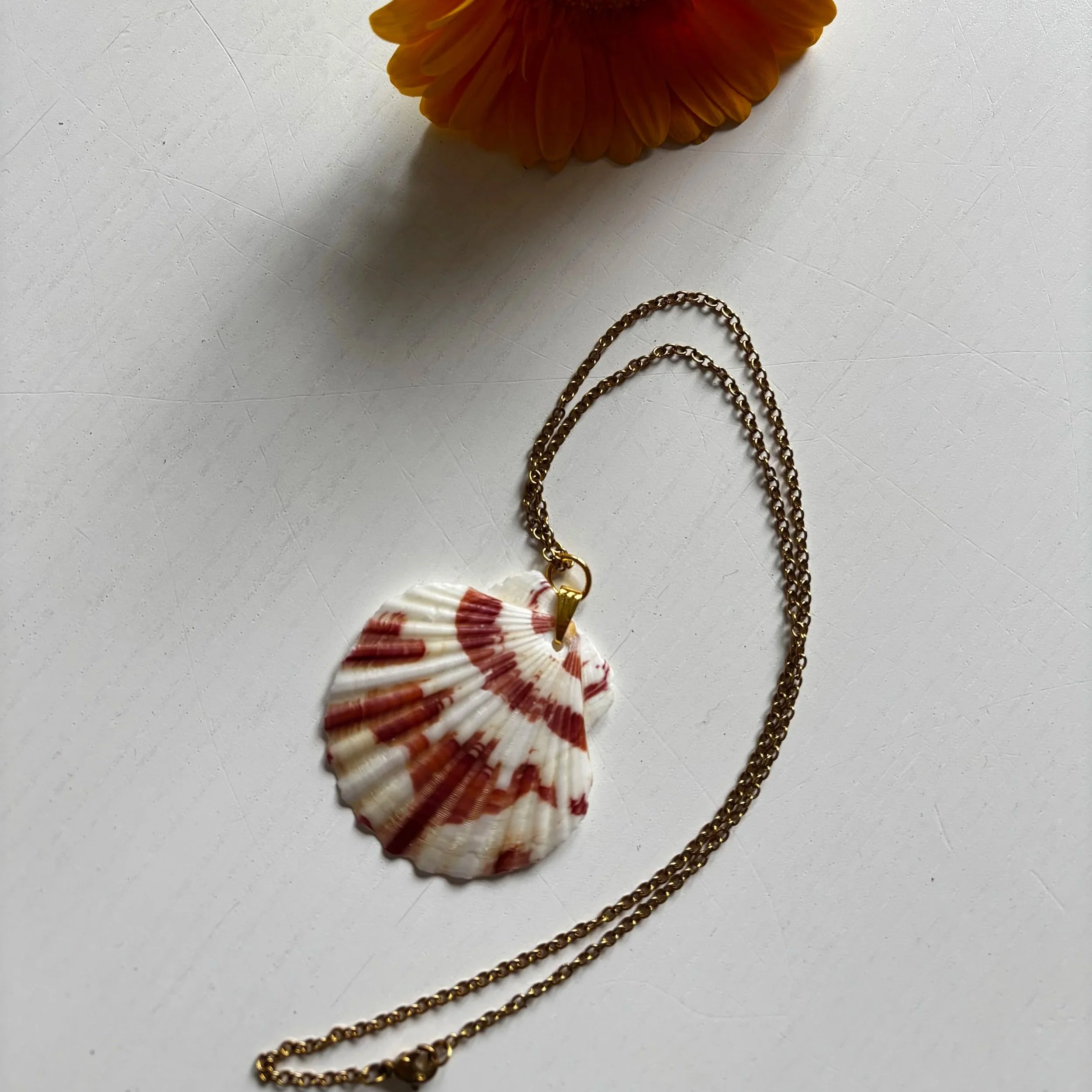 Simpukkariipus
