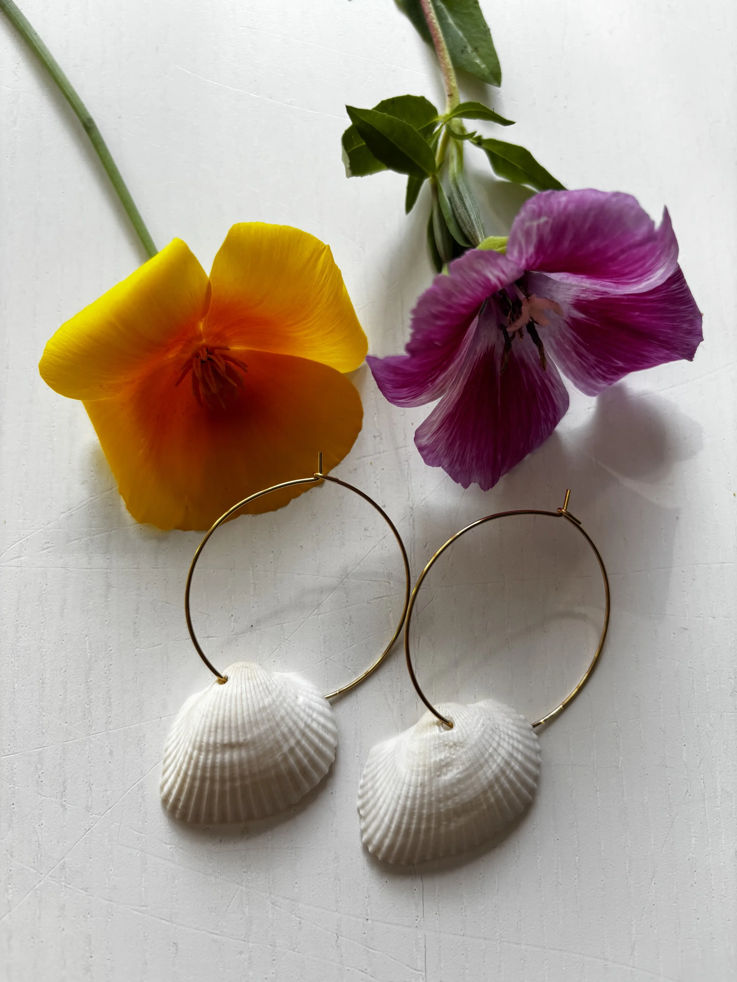 Seashells - korvakorut