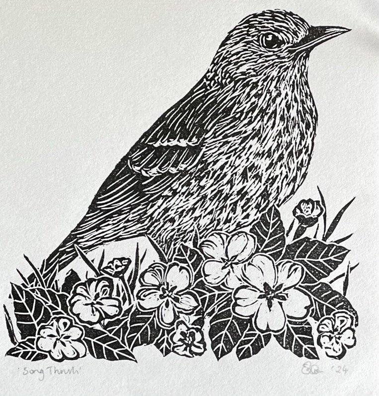 EP01 Song Thrush peg.jpeg