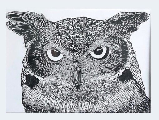 EP01+Owl.jpeg