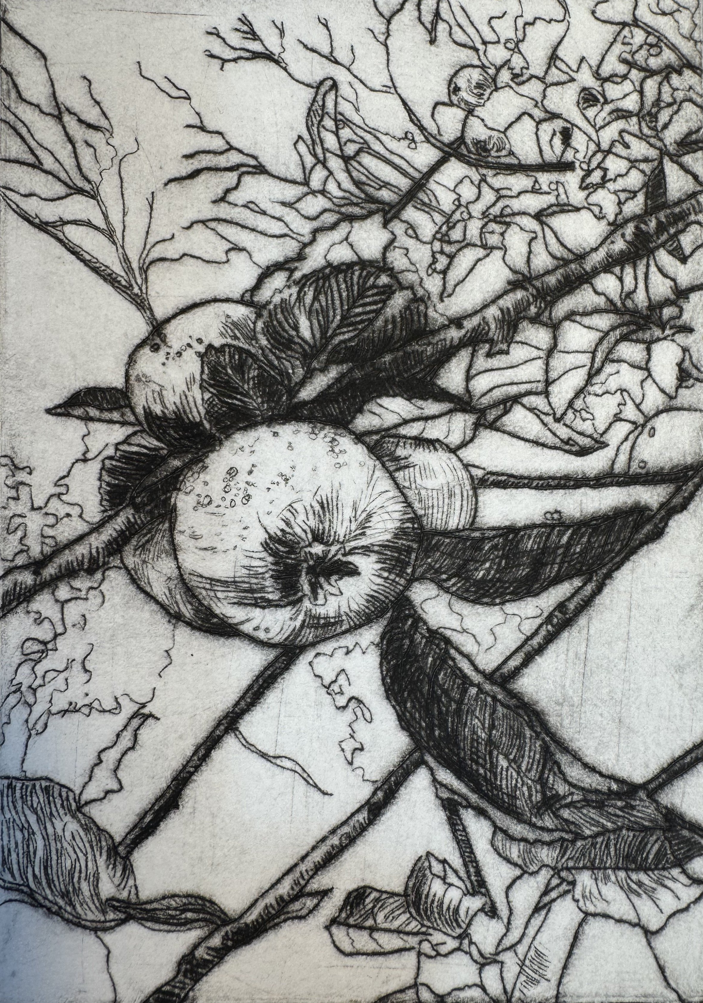 The Ropewalk Mini Print Exhibition, Trees