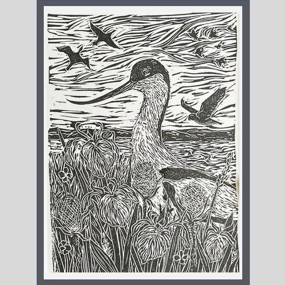 Lapwing .jpg