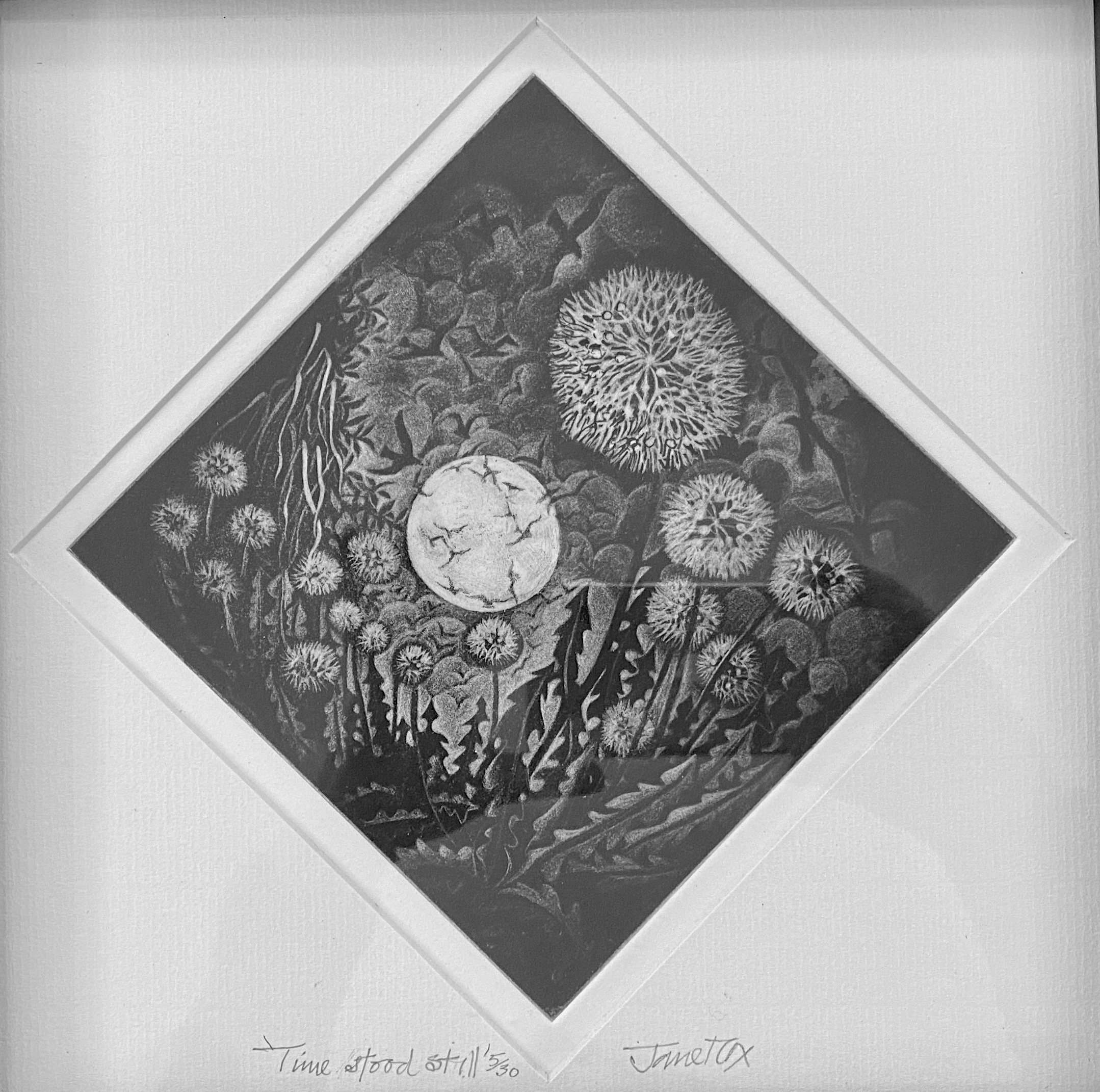 Time Stood Still 1.jpg
