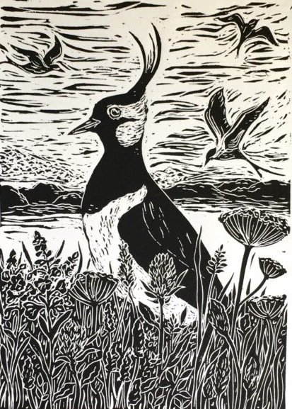 EP01 lapwing .jpeg