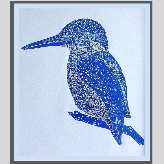 Kingfisher.jpg