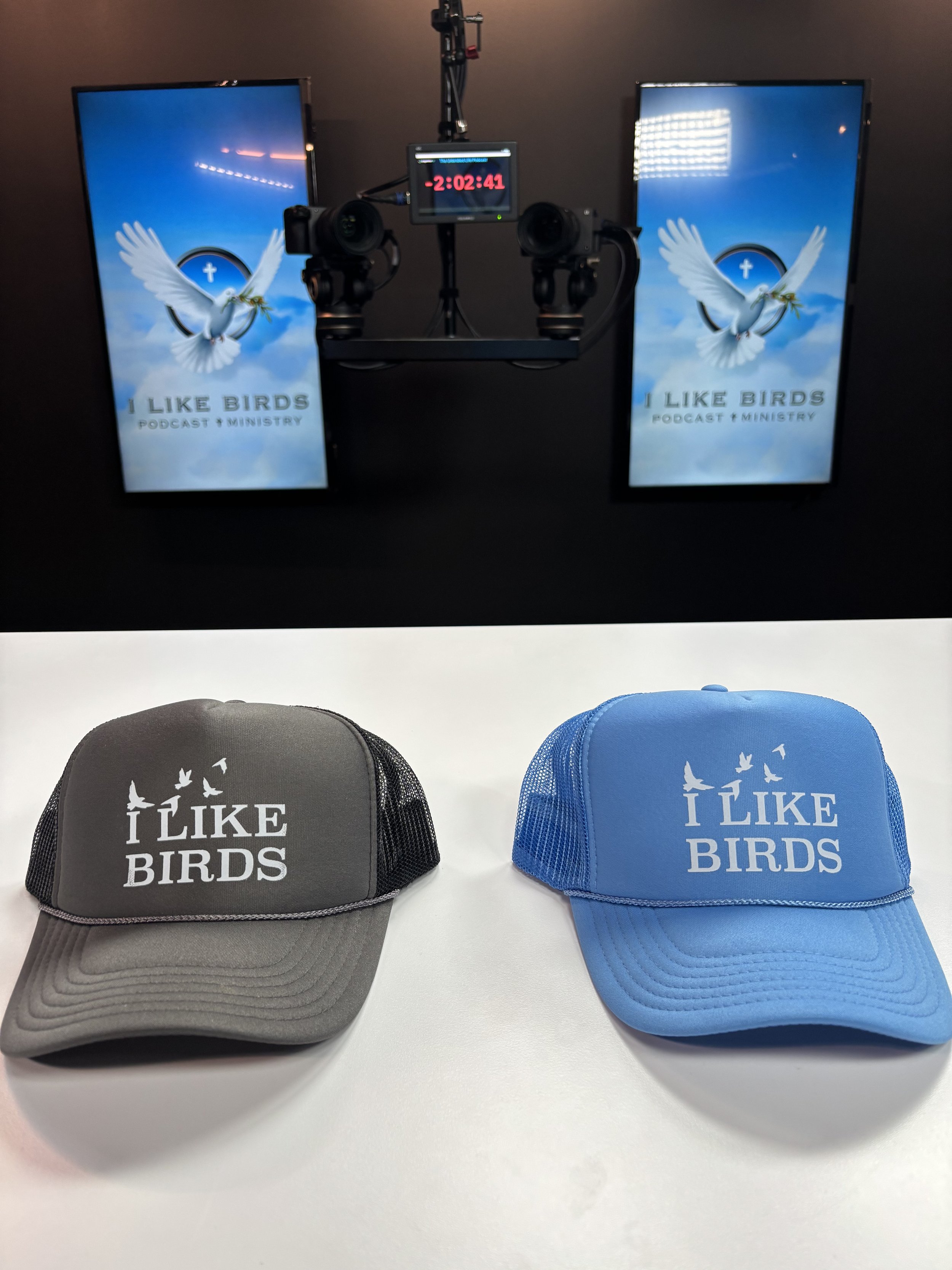 HATS I LIKE BIRDS LOGO HATS.jpeg
