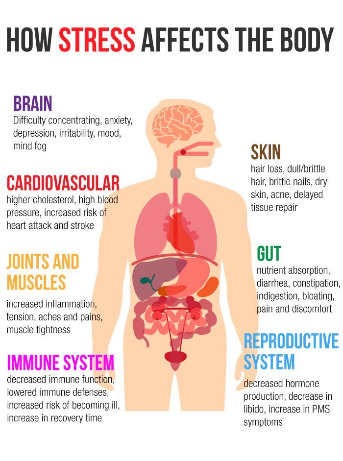 essay about stress impact on health