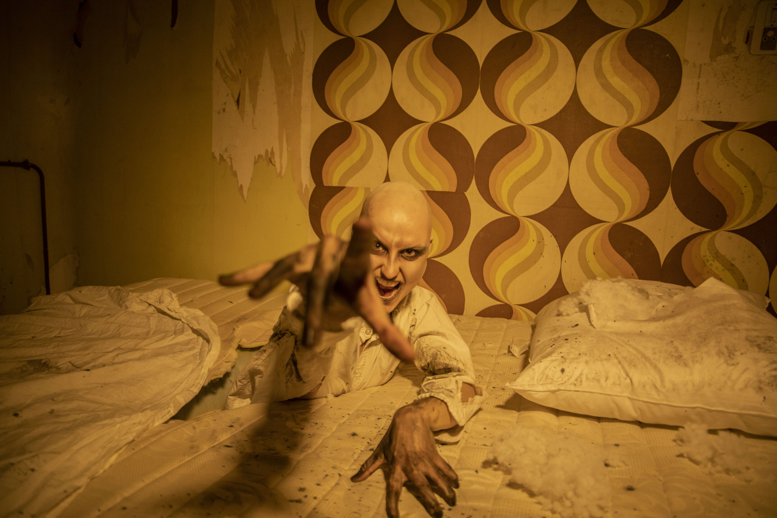 ahs _11.JPG