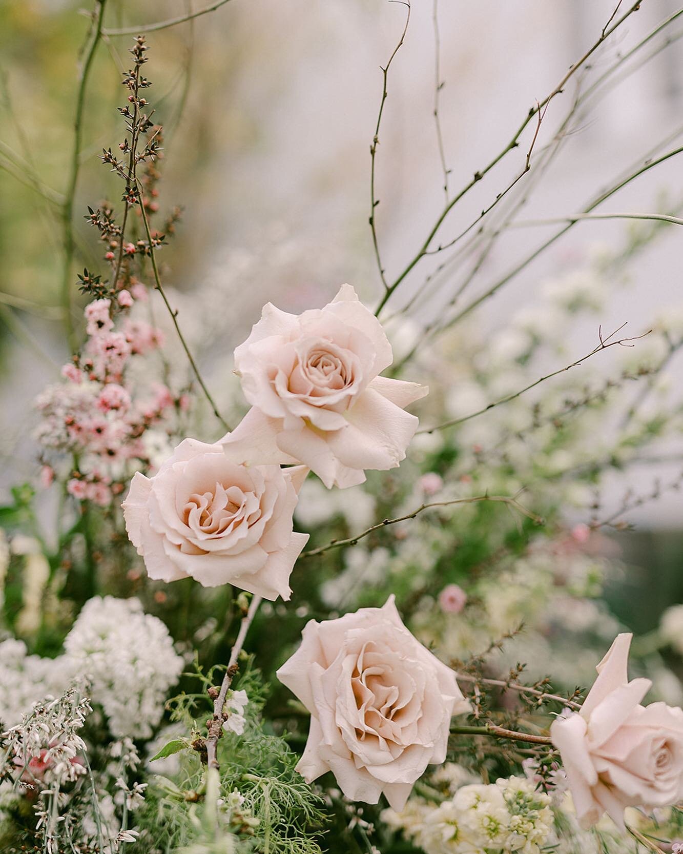 Working on design decks and getting excited for the remaining 2022 season. Eager to see each custom design and detail unfold✨

A favorite floral moment &amp; palette from J&amp;S&rsquo;s wedding this past spring. @kellybrownweddings