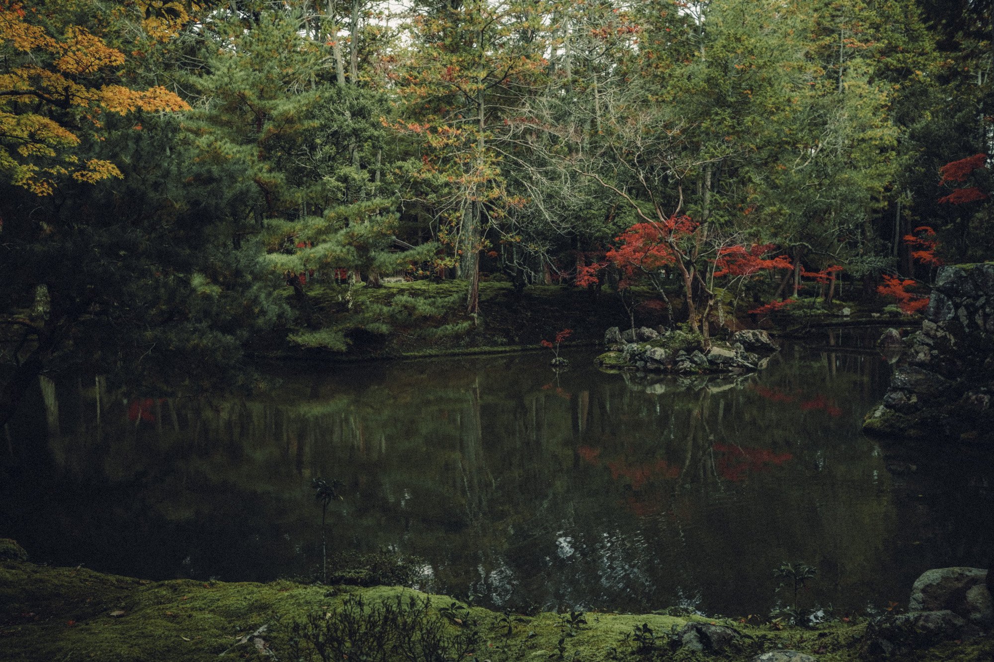 DSCF0254.jpg
