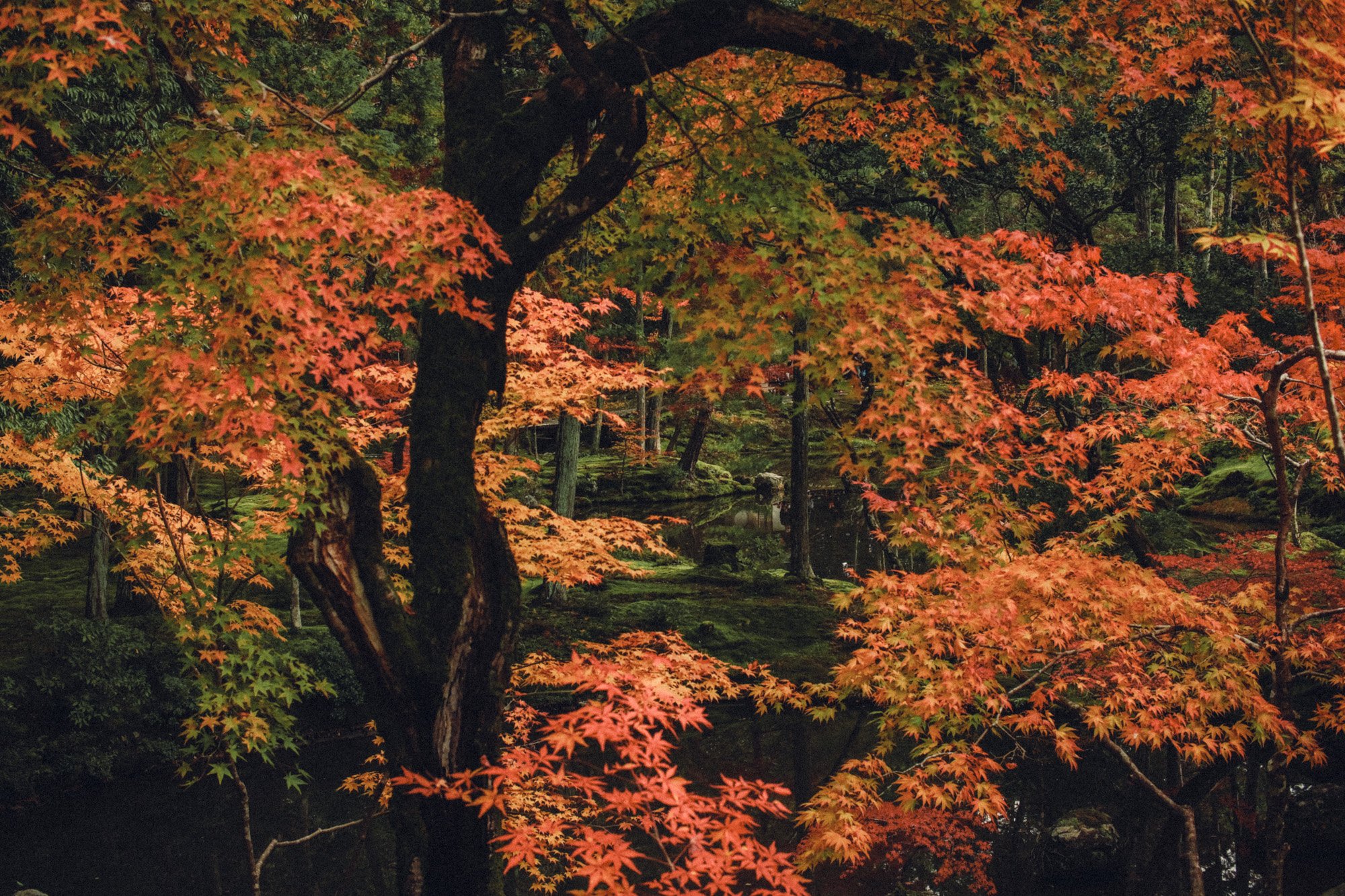 DSCF0339.jpg