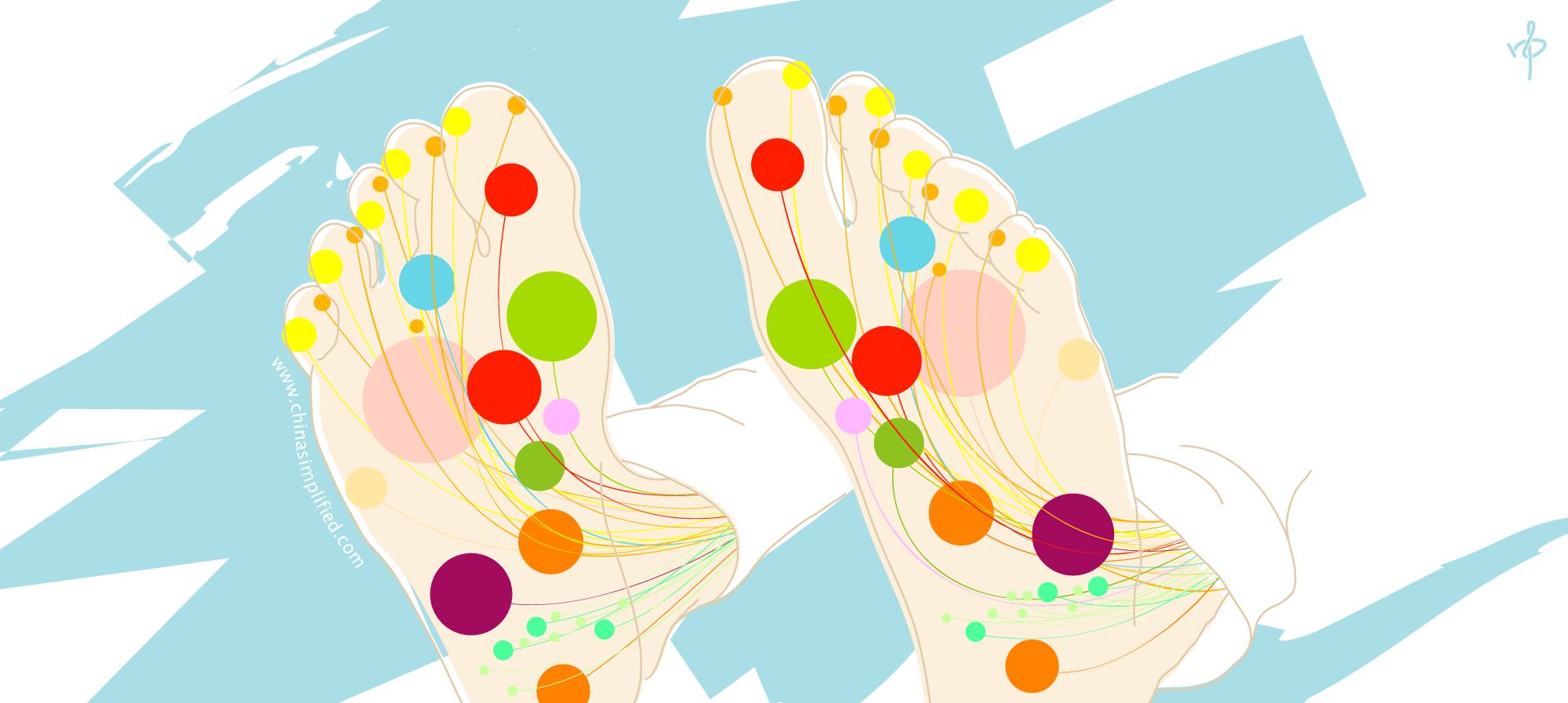 reflexology image.png