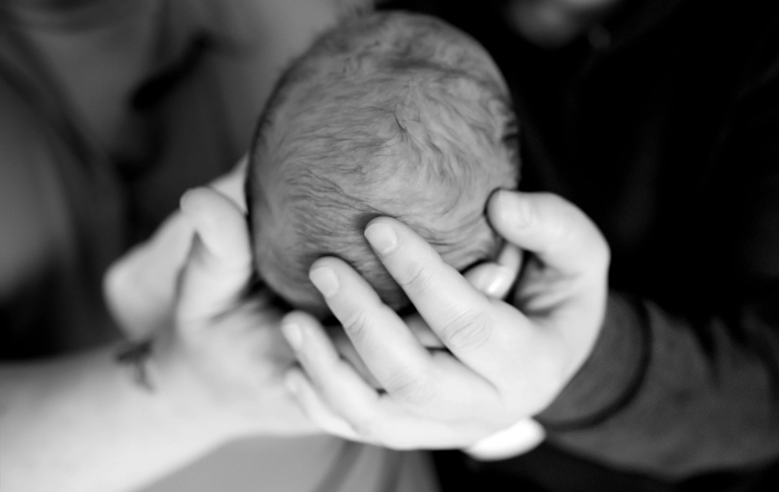 A close-up black-and-white photograph of a baby being gently held by an adult's hands, with focus on the baby's head and the adult's fingers cradling it.