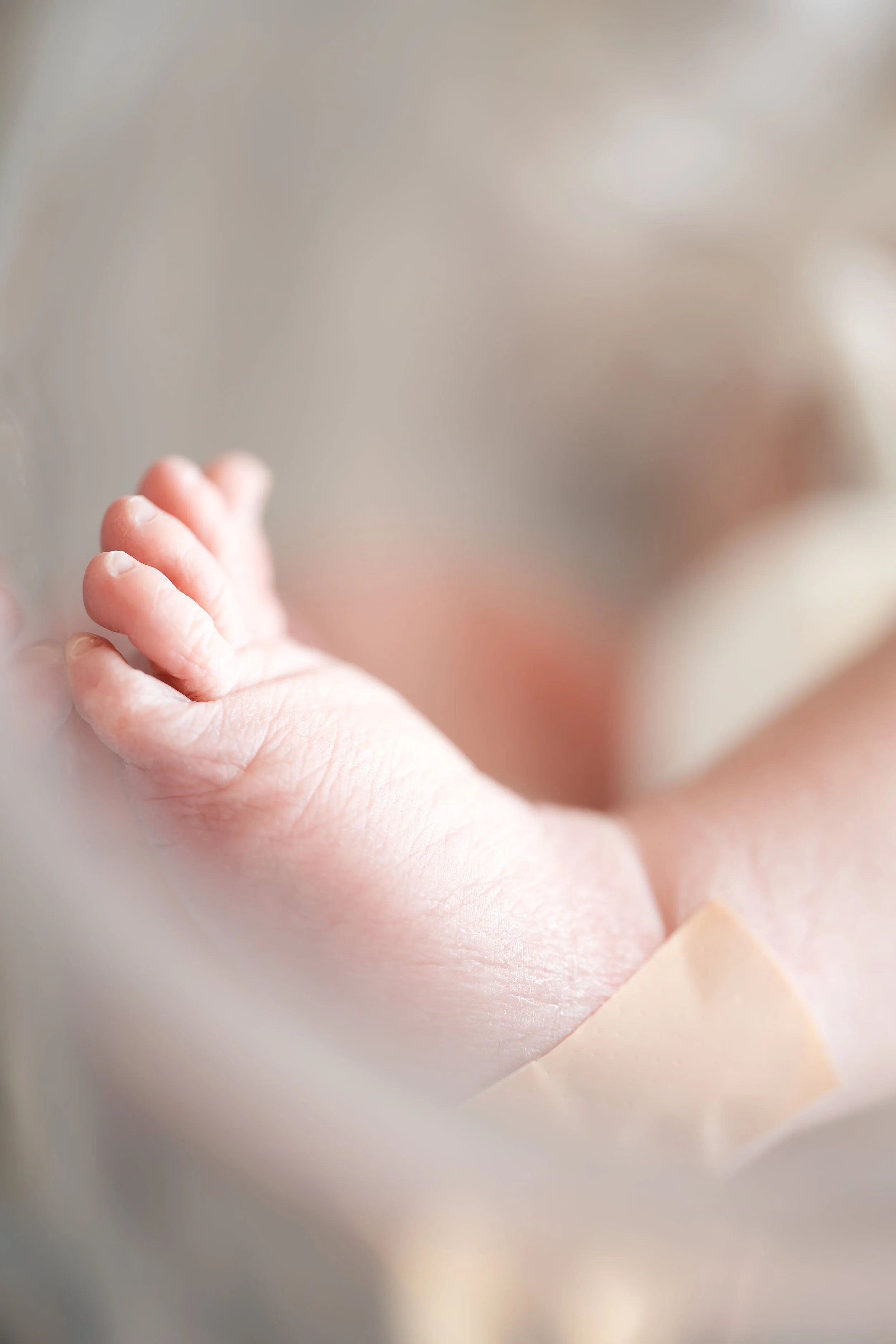 Close-up of a baby's foot, with a blurred background.