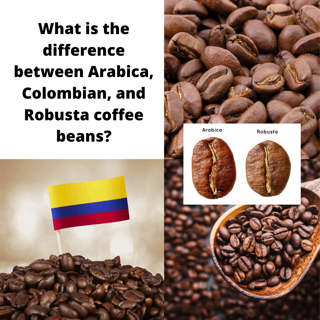 Which Coffee Beans Are Better for Espresso: Arabica or Robusta