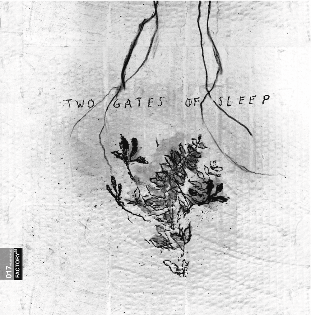 TwoGatesofSleepDVDBook.gif