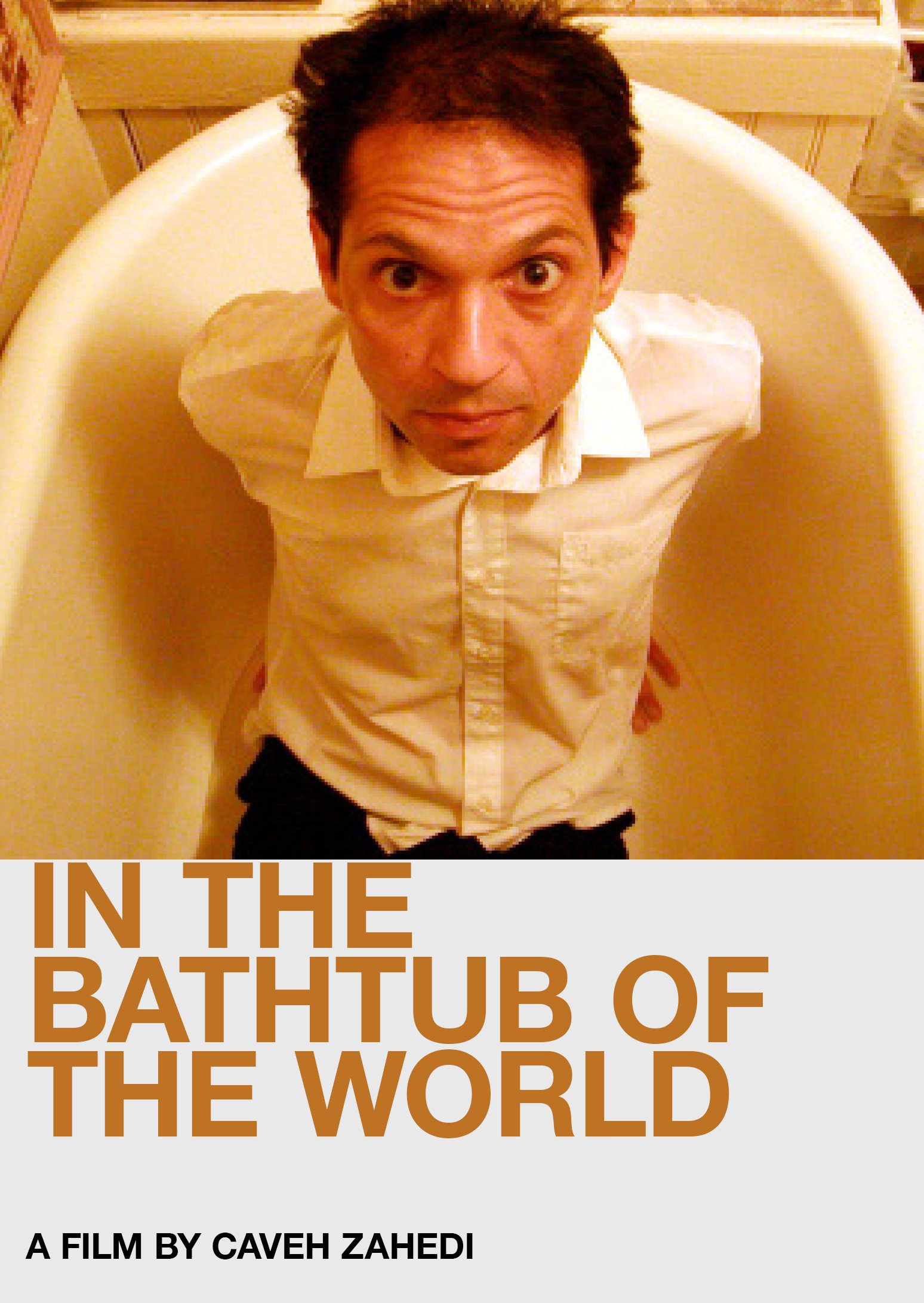 IN THE BATHTUB OF THE WORLD /// CAVEH ZEHEDI