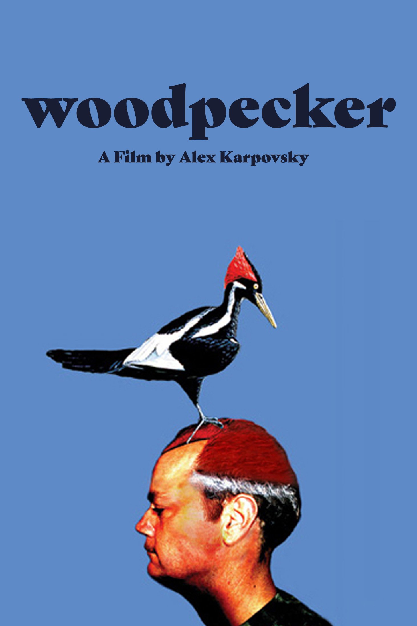 WOODPECKER /// ALEX KARPOVSKY