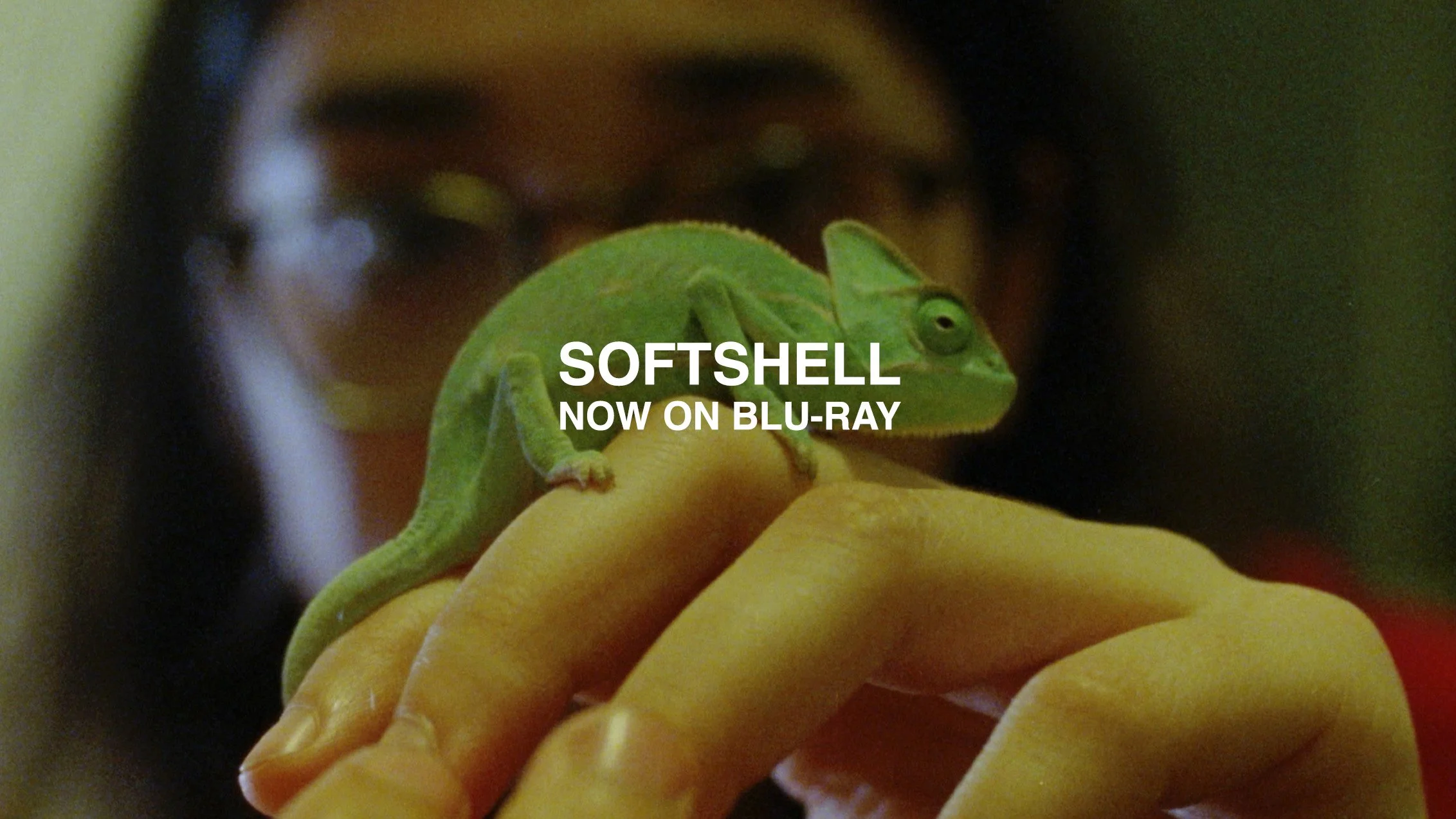 softshellslideshow.jpg