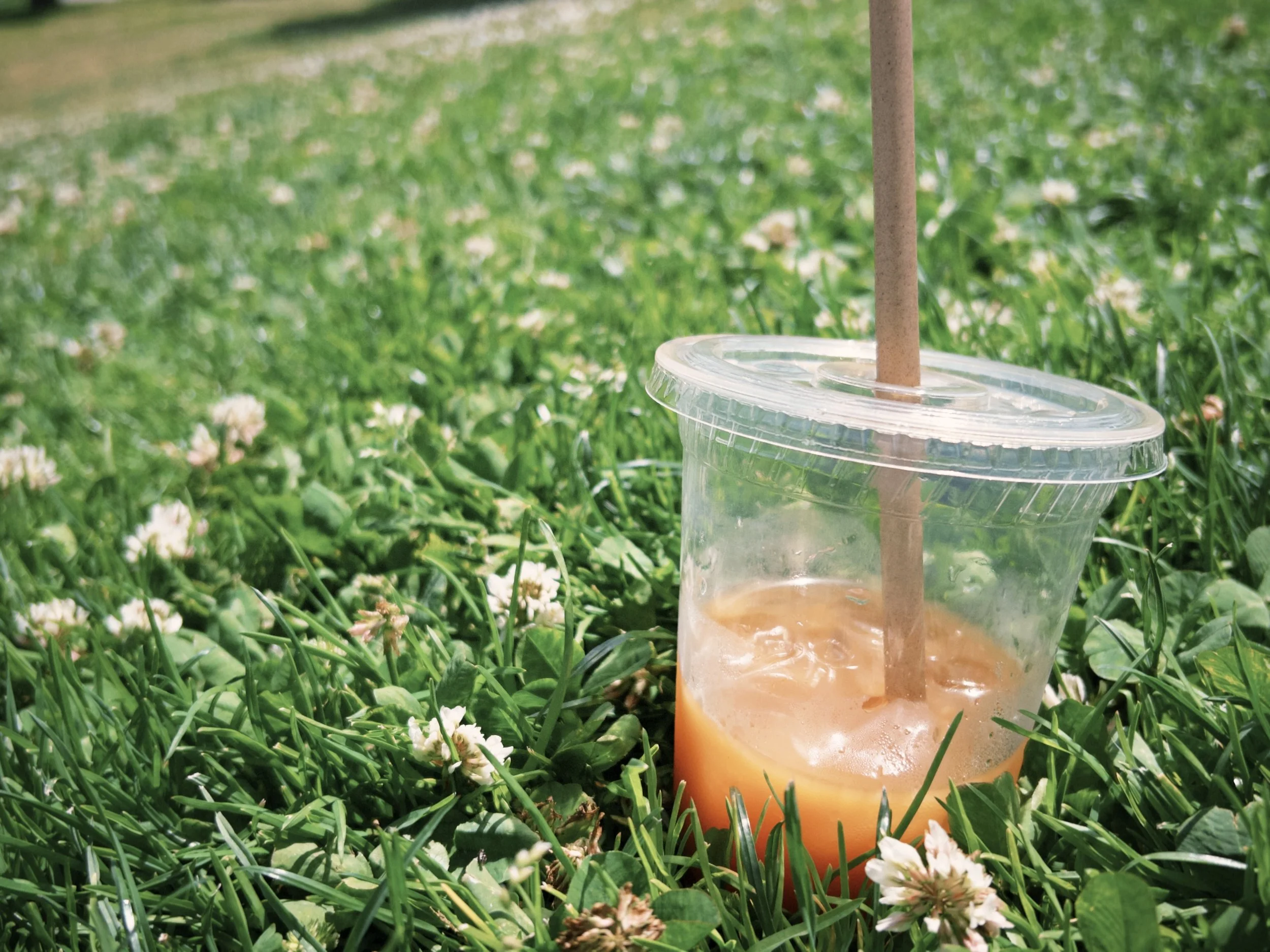 A clear plastic cup with a domed lid and a brown straw, containing an orange-colored beverage, placed on green grass with small white flowers.