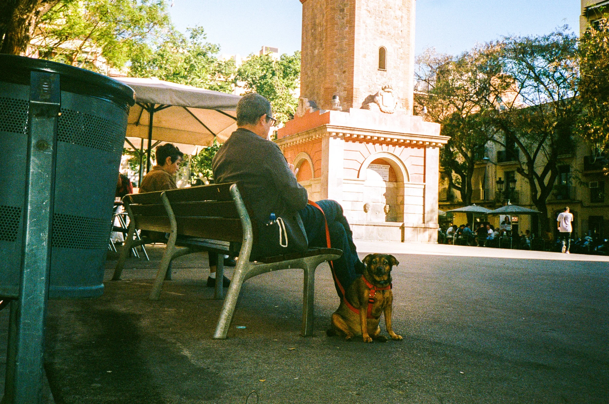 A person sitting on a park bench with a small dog sitting nearby, in an outdoor area with trees, a historic tower, and people dining at outdoor tables.