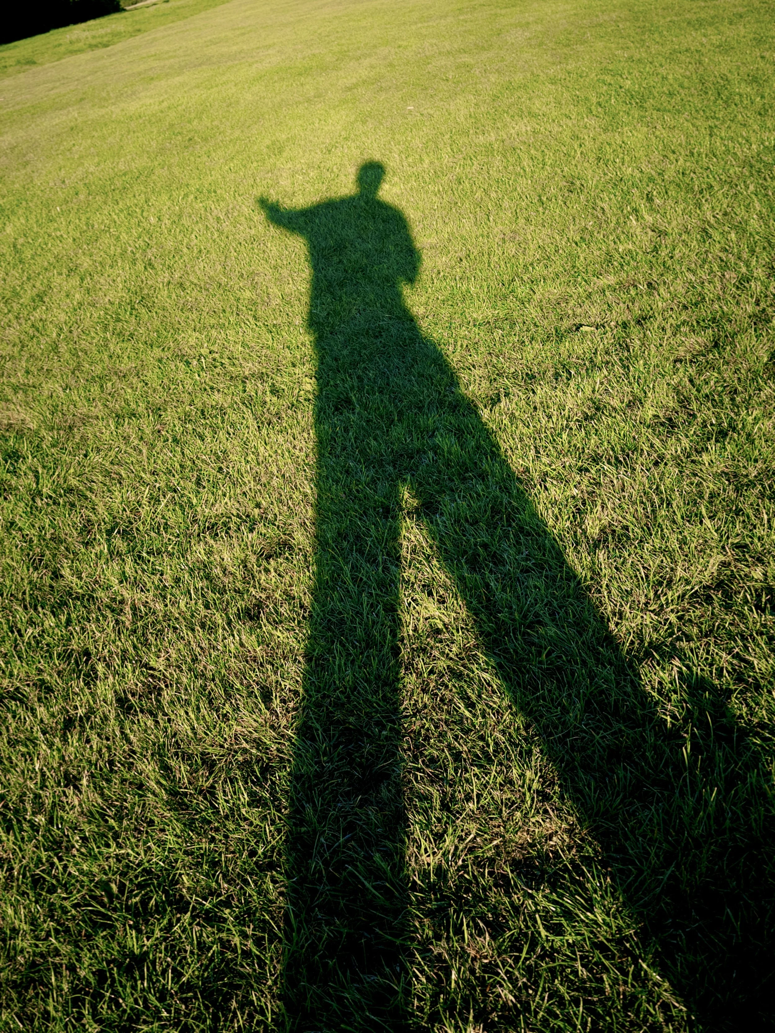 Shadow of a person on a grassy field, waving with one hand.