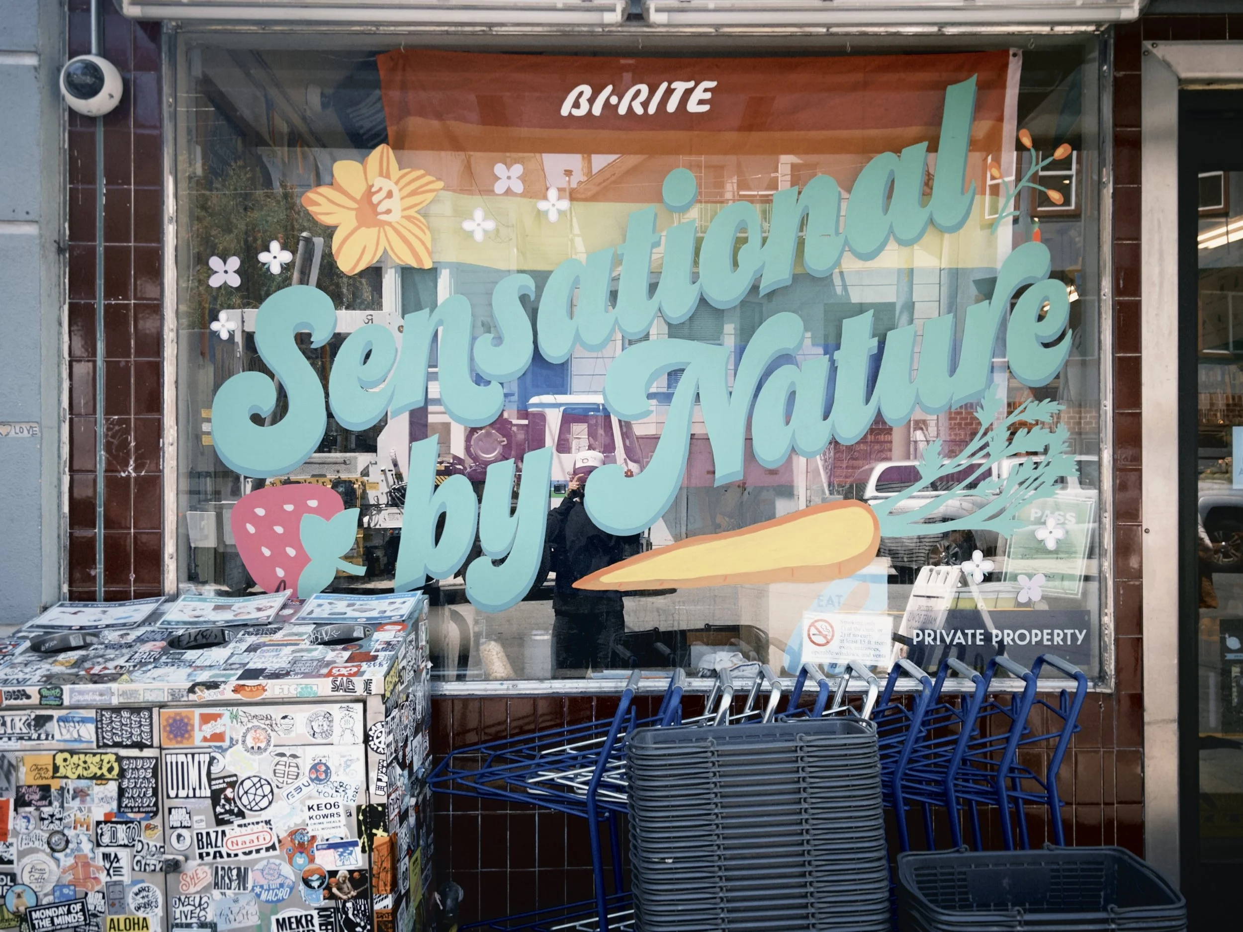 Storefront window with a large colorful sign that reads 'Salon Salubrious'. The sign features floral designs, including a large orange flower and smaller white flowers. There are racks of stickers or patches in front of the window and blue shopping c
