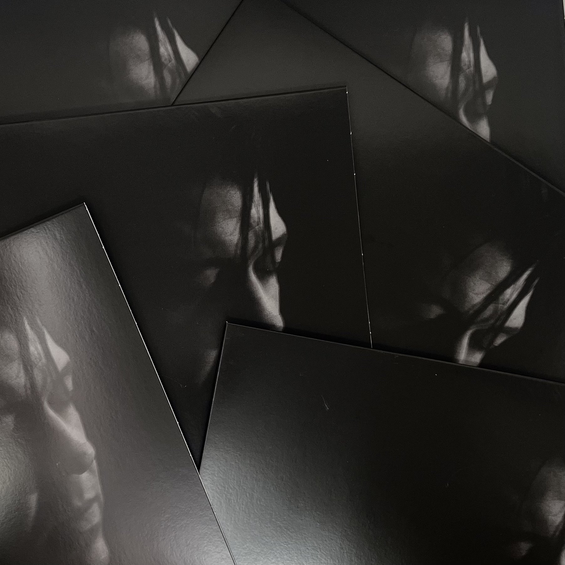 APL LP SLEEVE.jpg