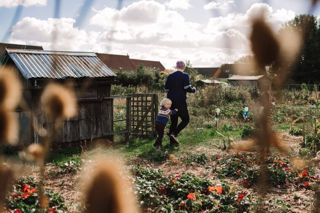 toddler following mother in allotments Uppingham family photography