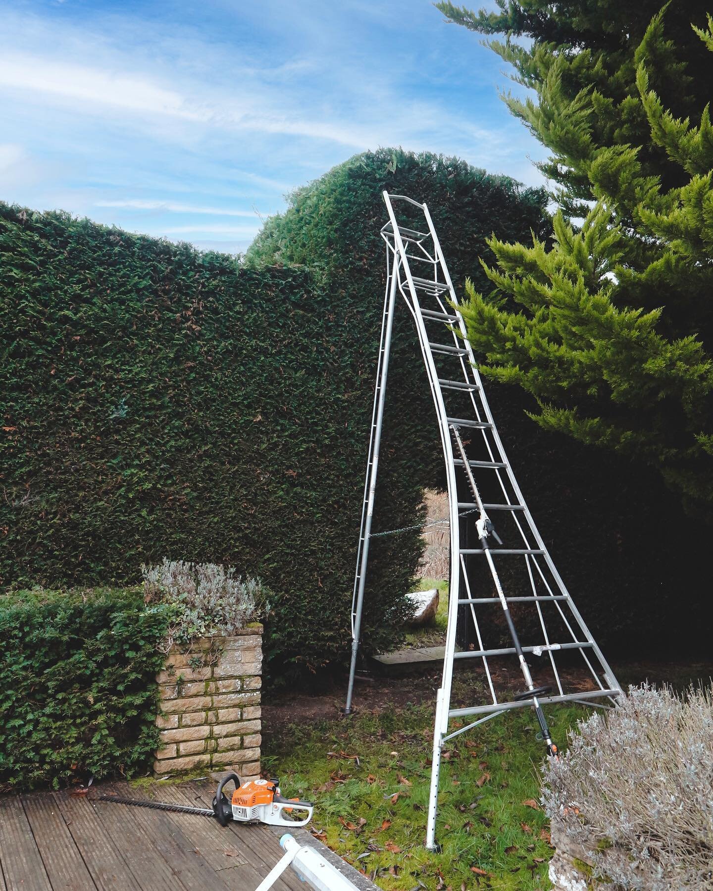 Hedge maintenance at one of our regular jobs 🌳

For any questions you have or if you wish to organise a quote with us please feel free to contact directly on 07450272704 / jsjgardening@gmail.com or drop me a message on here. Look forward to hearing 